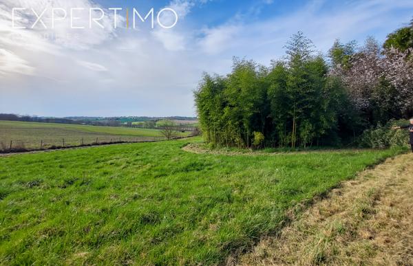 Verteillac (24320) Viager libre et un viager occupé pour cet ensemble immobilier type longère de deux logements Homme de 73 ans