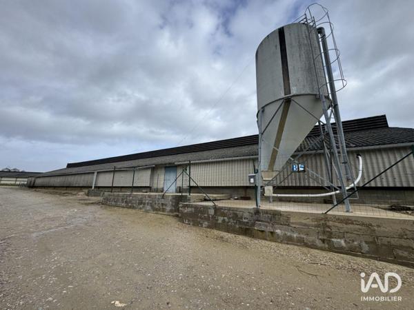 Local d’activité à vendre 2 250 m² Dangé-Saint-Romain