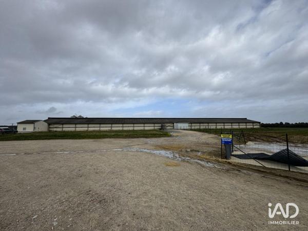Local d’activité à vendre 2 250 m² Dangé-Saint-Romain
