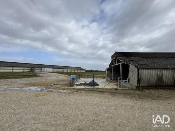 Local d’activité à vendre 2 250 m² Dangé-Saint-Romain