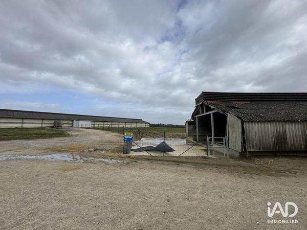 Local d’activité à vendre 2 250 m² Dangé-Saint-Romain