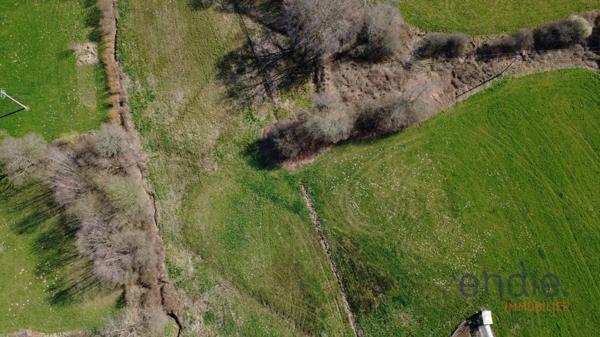 À Vendre – Terrain avec Parcelle Constructible et Options d’Agrandissement, à Belmont (70270)