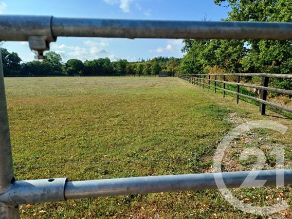 Maison à vendre  8 pièces - 205,50 m2 MEZIDON VALLEE D AUGE - 14