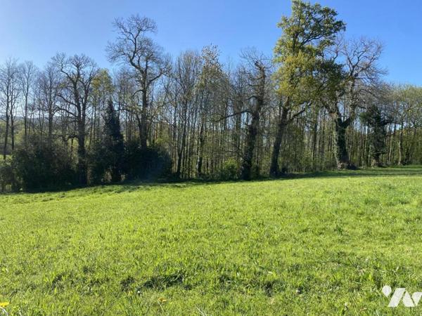 EXCLUSIVITE  - MAISON ATHYPIQUE AVEC CACHET  et TERRAIN
