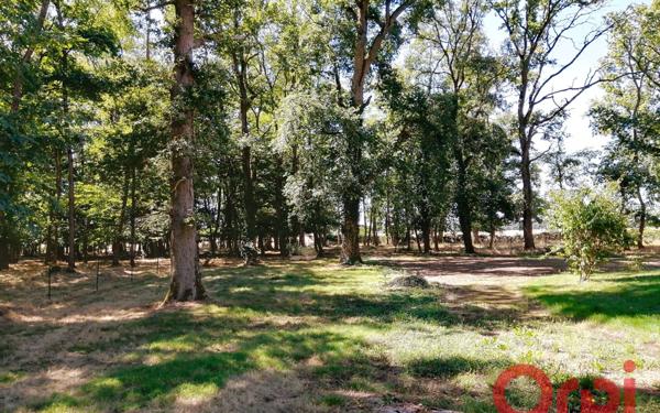 Maison à vendre    6 pièces •  Auzouer-en-Touraine