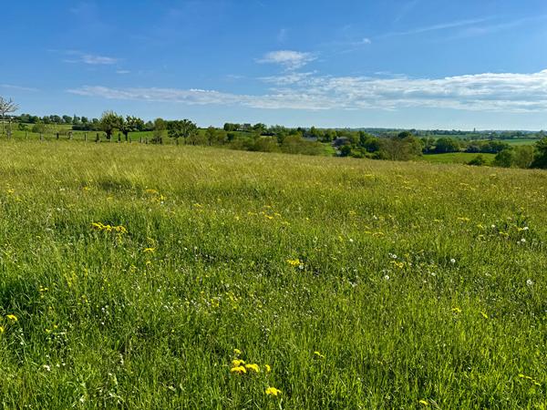 TERRAIN CONSTRUCTIBLE 2100m2 DIVISIBLE - SAINTE-JULIETTE-SUR-VIAUR Sainte juliette sur viaur