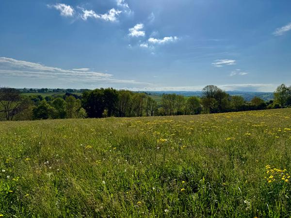 TERRAIN CONSTRUCTIBLE 2100m2 DIVISIBLE - SAINTE-JULIETTE-SUR-VIAUR Sainte juliette sur viaur
