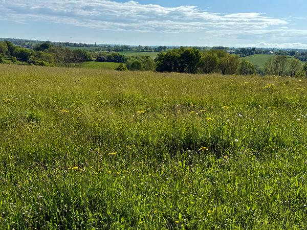 TERRAIN CONSTRUCTIBLE 2100m2 DIVISIBLE - SAINTE-JULIETTE-SUR-VIAUR Sainte juliette sur viaur