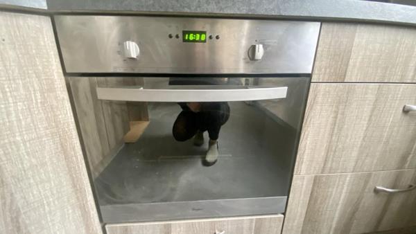 Location / Appartement
