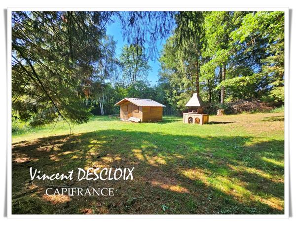 Terrain 19 965m² avec étang à vendre  GIEN SUR CURE (58230)