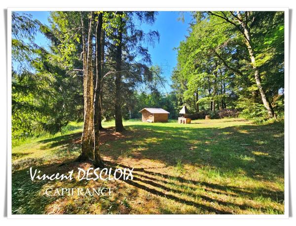 Terrain 19 965m² avec étang à vendre  GIEN SUR CURE (58230)