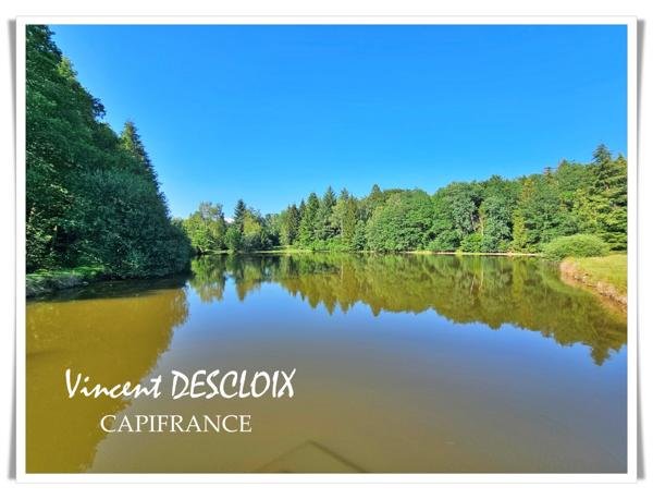 Terrain 19 965m² avec étang à vendre  GIEN SUR CURE (58230)