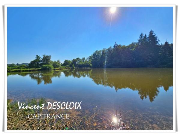 Terrain 19 965m² avec étang à vendre  GIEN SUR CURE (58230)