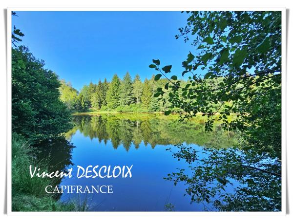 Terrain 19 965m² avec étang à vendre  GIEN SUR CURE (58230)