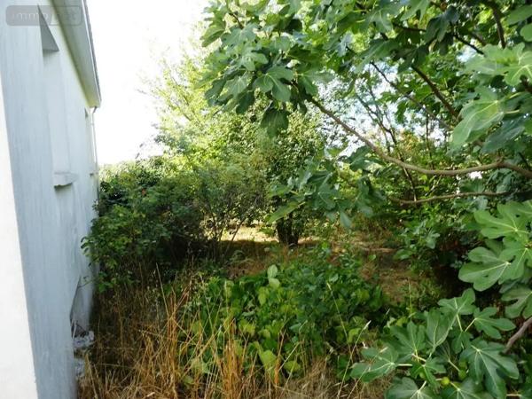 Achat - Maison Guémené-sur-Scorff 56160 6 pièces 95 m 2 782 m 2