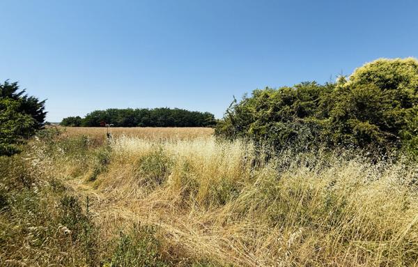Maison de 97 m²