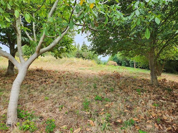 BIDART - Belle Maison de caractère avec son vaste terrain arboré, Bidart 64210