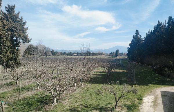 Mas Provençal proche MT VENTOUX et Dentelles de Montmirail
