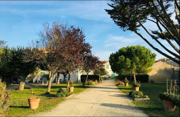 Appartement à vendre    1 pièce • 33,85 m2 Saint-Martin-de-Ré