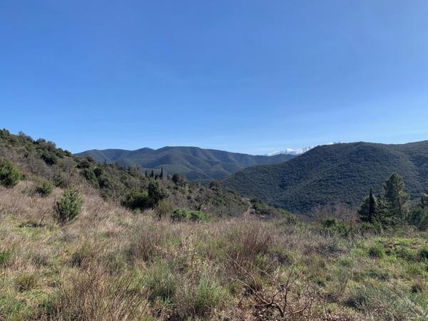 TERRAIN DE 3900 M2 AVEC 1950M2 CONSTRUCTIBLE