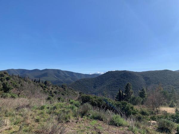 TERRAIN DE 3900 M2 AVEC 1950M2 CONSTRUCTIBLE