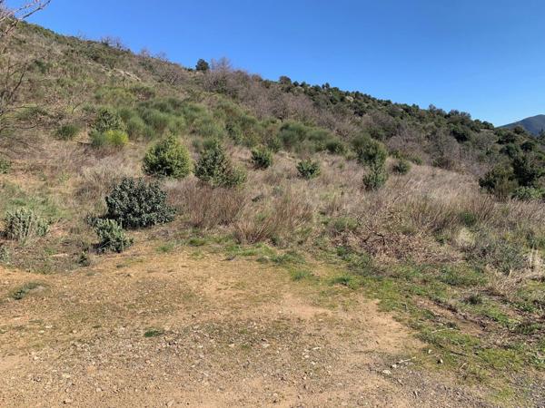 TERRAIN DE 3900 M2 AVEC 1950M2 CONSTRUCTIBLE