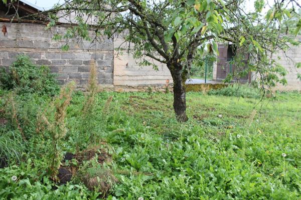 ancienne ferme habitable de suite ,avec garage , grange et jardin