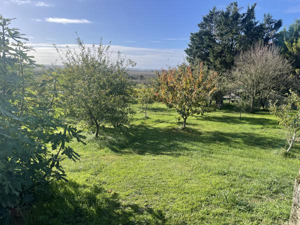 PAVILLON DE PLAIN PIED AVEC VUE DEGAGEE// SUPERBE TERRAIN arboré // PISCINE