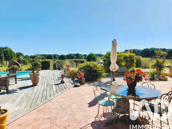 Maison à vendre 20 pièces 453 m² Saint-Laurent-d'Aigouze