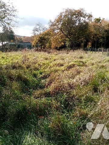 maison de village avec terrain de 1215 m² - état à conforter