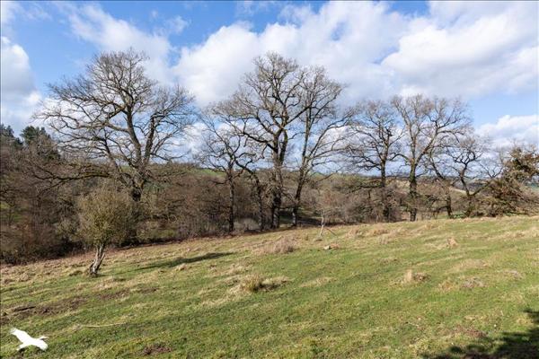 Maison à vendre |  Saint-Jean-Ligoure |  4 pièces | 122 m²