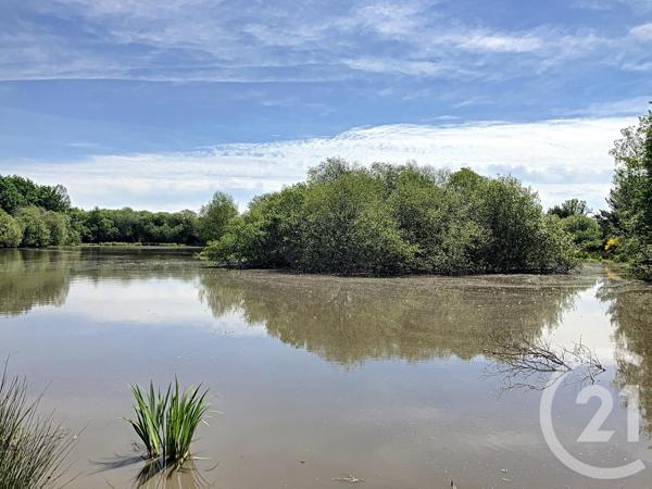 Terrain à vendre  474003 m2 NOUAN LE FUZELIER - 41