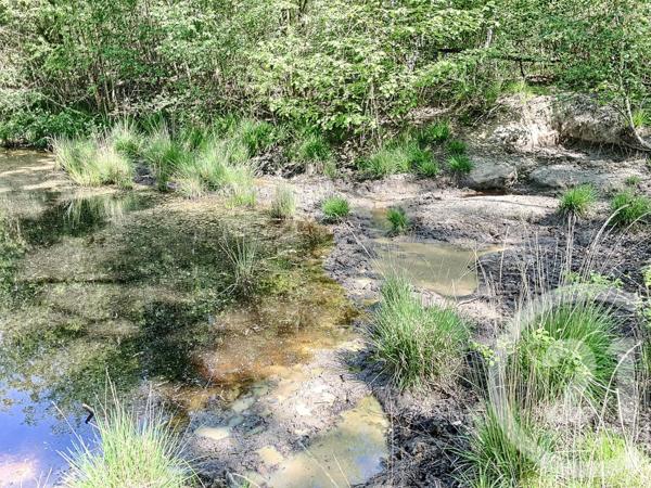 Terrain à vendre  474003 m2 NOUAN LE FUZELIER - 41