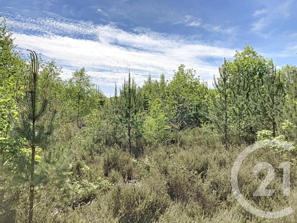 Terrain à vendre  474003 m2 NOUAN LE FUZELIER - 41