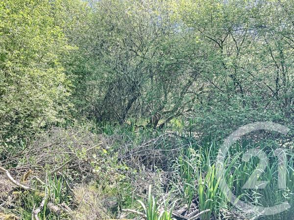 Terrain à vendre  474003 m2 NOUAN LE FUZELIER - 41