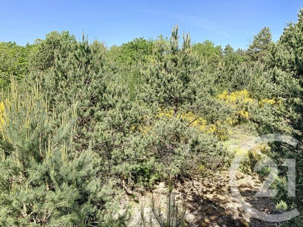 Terrain à vendre  474003 m2 NOUAN LE FUZELIER - 41