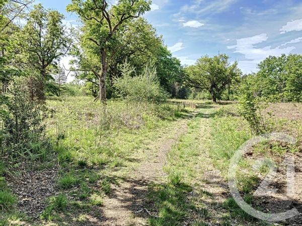 Terrain à vendre  474003 m2 NOUAN LE FUZELIER - 41