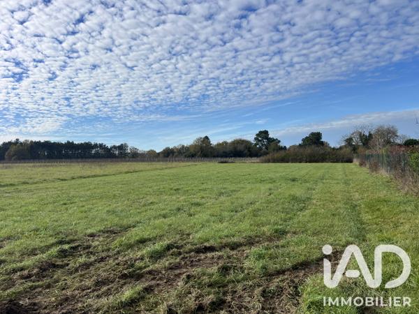 Terrain à vendre 1 500 m² Fronton