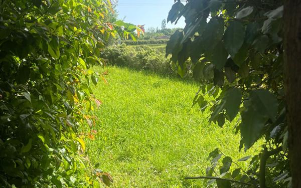 Maison à vendre    3 pièces • 91,50 m2 Lathus-Saint-Rémy