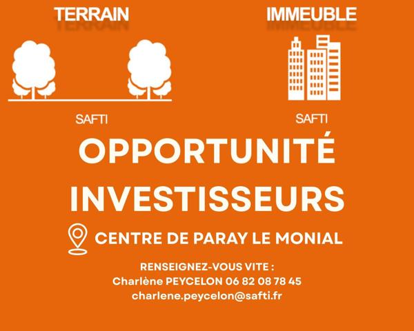 SPECIAL INVESTISSEUR - COEUR HISTORIQUE PARAY LE MONIAL