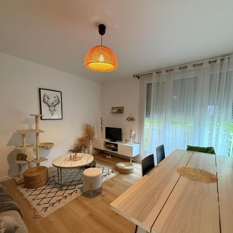 Appartement 3 Pièces entièrement rénové !