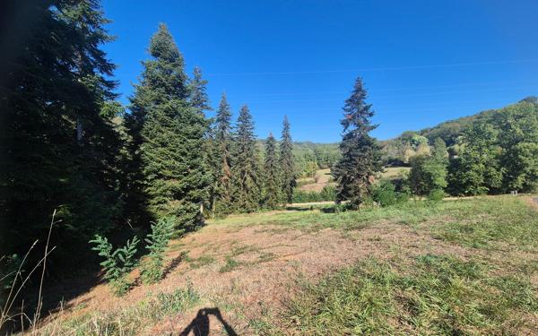 Terrain à vendre