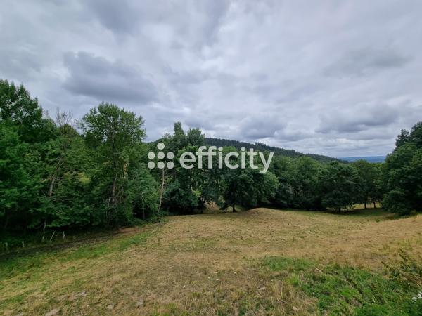 Maison 4 pièces - 200 m² Exclusivité efficity