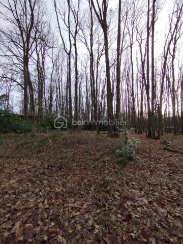 TERRAIN CONSTRUCTIBLE VIABILISE d'environ 2664 m² clos avec bungalow de 30 m² à retaper , plus un abris de jardin.
Le bungalow se compose de deux chambres, cuisine avec son coin repas, salle d'eau avec emplacement pour le lave linge, WC .
Le bungalow est raccordé à l'eau , électricité ainsi qu'un assainissement individuel .