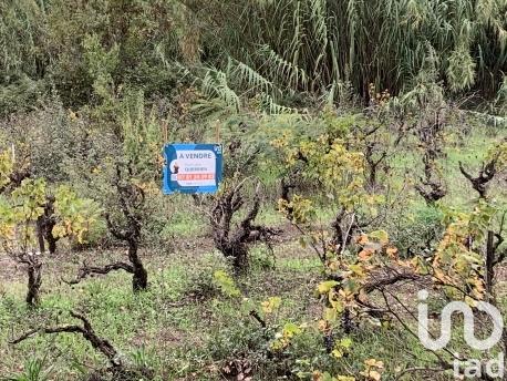 Terrain à vendre 643 m² Pierrefeu-du-Var