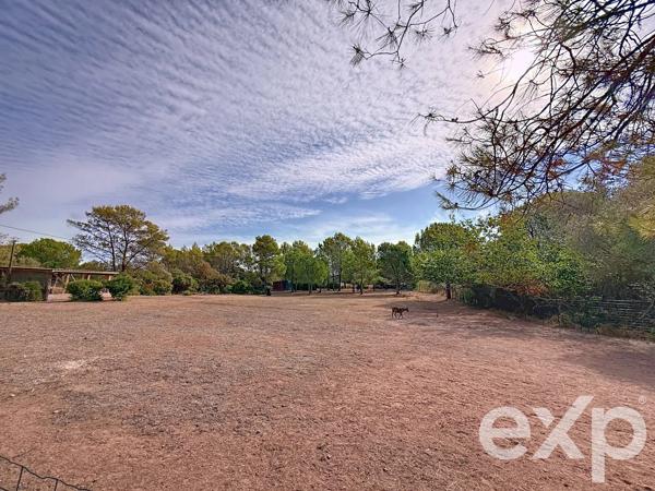 Magnifique bastide avec domaine de plus de 1 hectare
