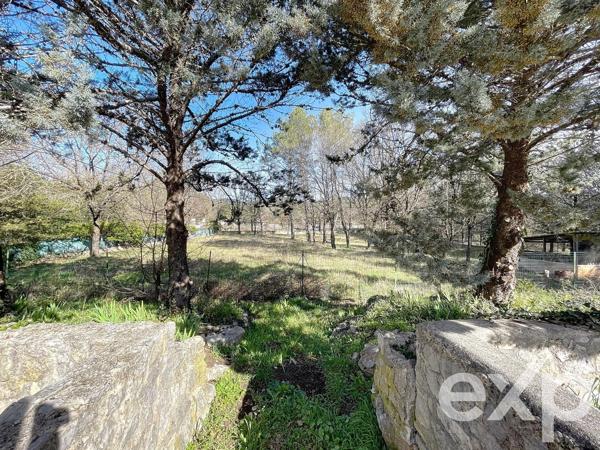 Maison avec piscine deux appartements, hangar, box et garage.