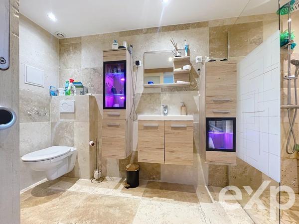 Maison avec piscine deux appartements, hangar, box et garage.