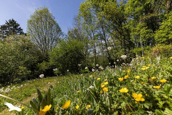 Maison à vendre |  Allier |  5 pièces | 89 m²