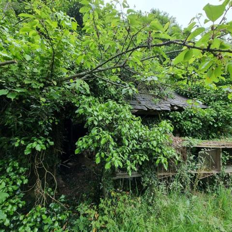 Maison à vendre à Saint-Loup-du-Gast en Mayenne (53300), ref : 12725/540